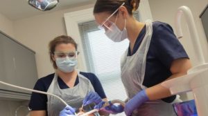 Alternatives to Amalgam 1 Hour Webinar